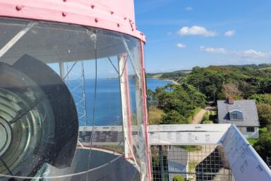 20240819_141505.jpg 20240819_141505.jpg